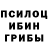 Псилоцибиновые грибы GOLDEN TEACHER Aminka Faizulloeva