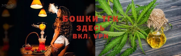 ECSTASY Дмитров