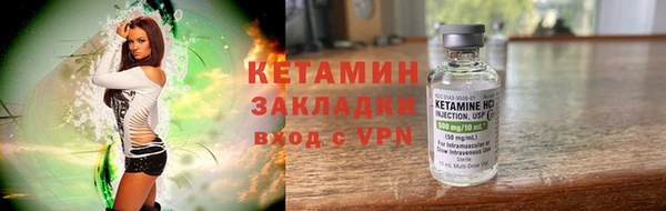 твердый Дмитровск