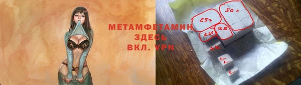 твердый Дмитровск