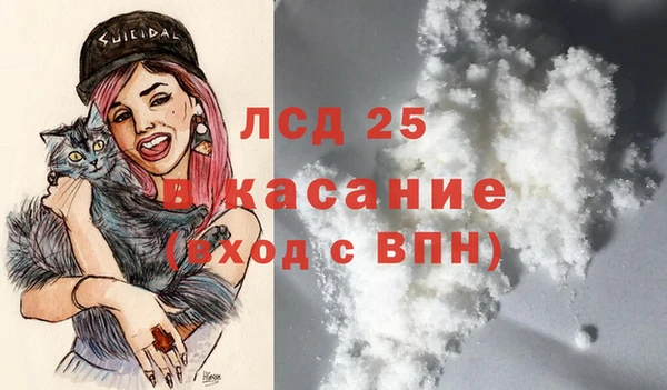 твердый Дмитровск