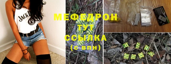 твердый Дмитровск