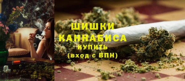 твердый Дмитровск