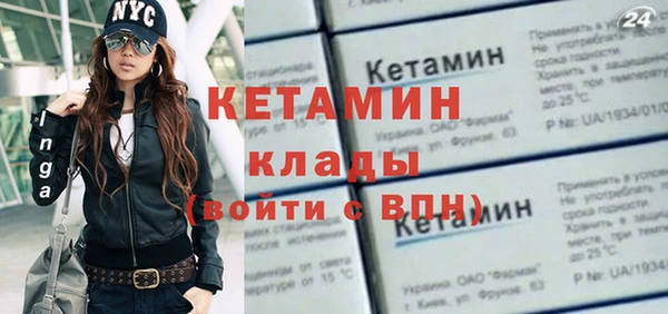 твердый Дмитровск