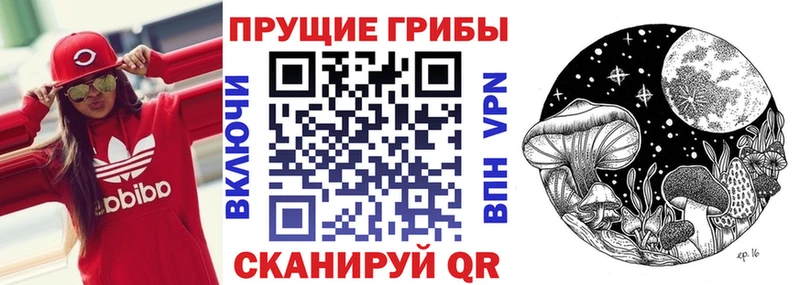 Псилоцибиновые грибы Psilocybe  как найти закладки  Фокино 